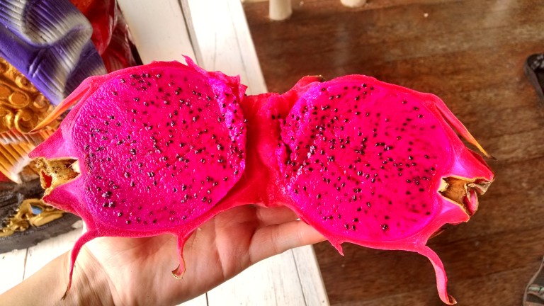 IMG_20160123_114354478_HDR