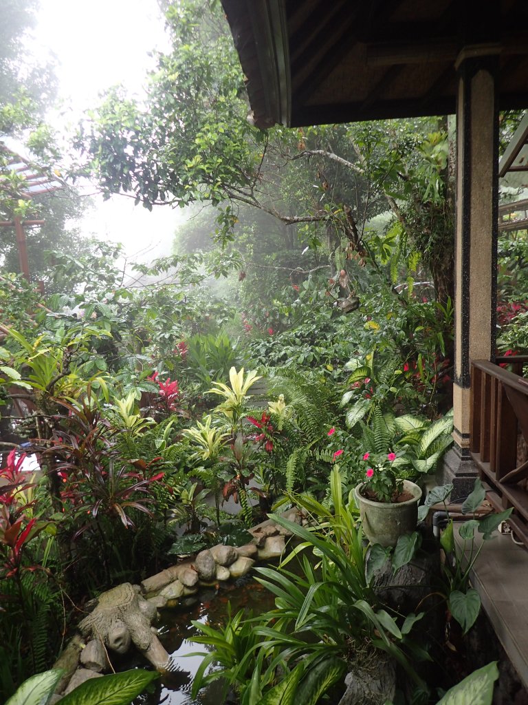 Home of Kopi Luwak - The gardens at the entrance to a coffee plantation and civet sanctuary near Munduk. We got to eat lunch here and then have a tour of where the civets sleep and the coffee is ground with traditional techniques.
